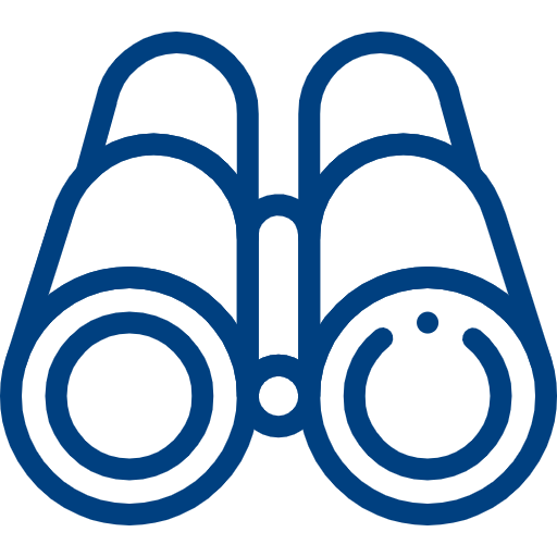 Vision Icon